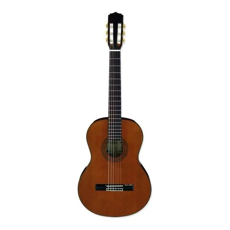 Aria A20N Klasik Gitar, görsel 1