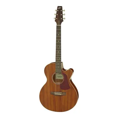 Aria FETR1MH Elektro Akustik Gitar