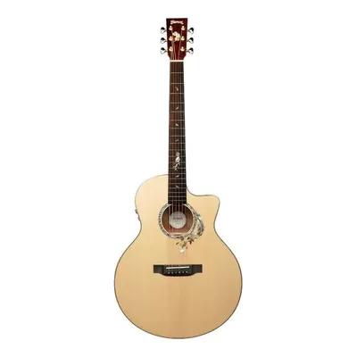 Trumon Wing 950 TF-S3 Elektro Akustik Gitar
