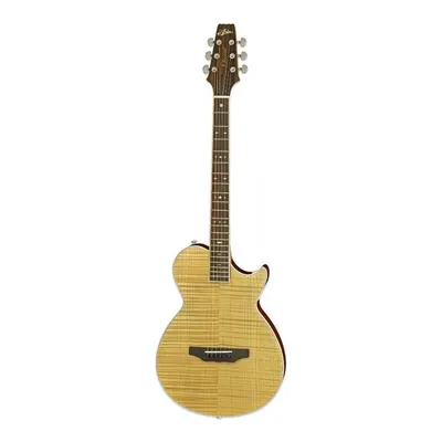 Aria APE100N Elektro Akustik Gitar