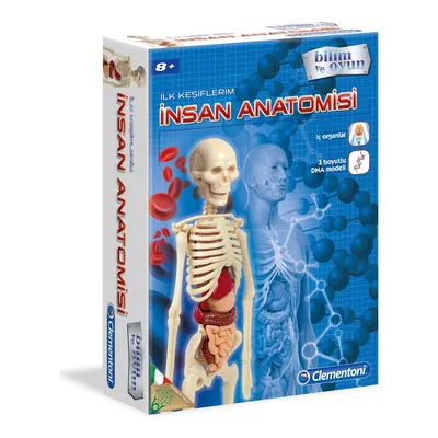 Clementoni İnsan Anatomisi