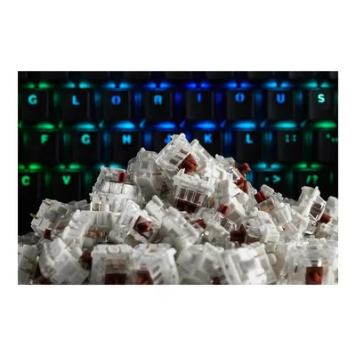 GLORIOUS PC GAMING RACE Gateron Mekanik Klavye Switch Şeffaf