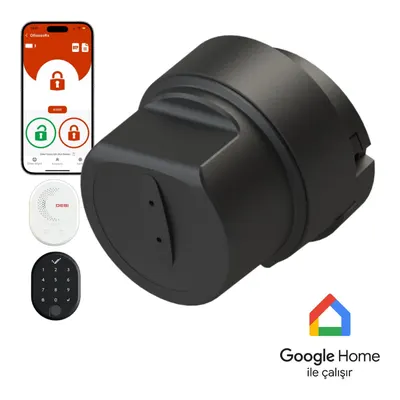 DESI Utopic RXe Yapay Zeka-WiFi Köprü&Parmak İzi ve Tuş Takımı(Alexa-Google Home) Akıllı Kapı Kilidi