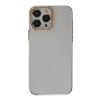 NEWFACE iPhone 13 Pro Uyumlu Anka Pc Sert Metal Kapak Telefon Kılıfı Şeffaf