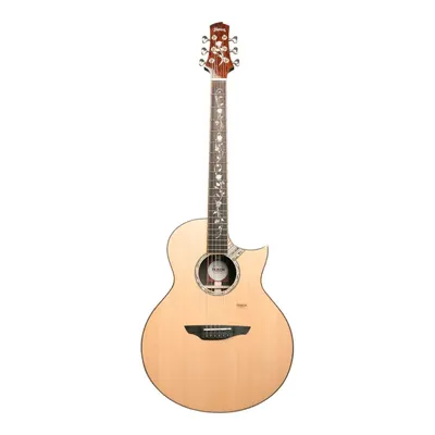 TRUMON Summer 1988TFL-M1Pro Elektro Akustik Gitar