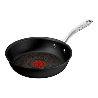 Tefal Excellence+ Fusion Core 9X Tava - 24 Cm