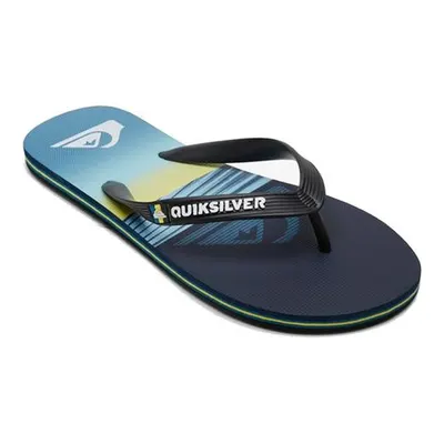 Quiksilver Molokai Panel Erkek Terlik