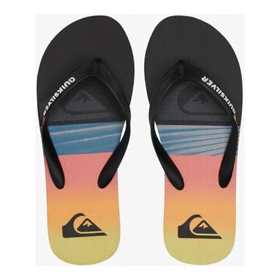 Quiksilver Molokai Panel Erkek Mavi Terlik