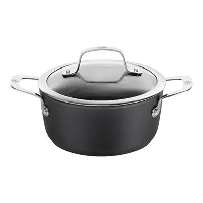 Zwilling Tencere Cam Kapaklı
