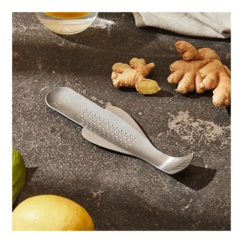 Alessi Boga Zencefil Rendesi, görsel 1