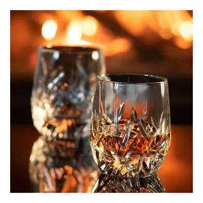 Da Vinci Fenice 2'li Viski Bardağı 310 ml