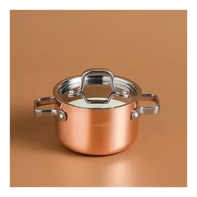 Powersteel 3Ply 316+ Çelik Mini Tencere 10 Cm Copper