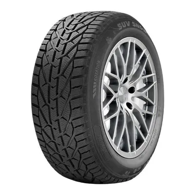Riken 225/60R17 103V XL Suv Snow (Kış) (2024)