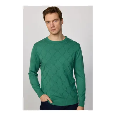 Slim Fit Bisiklet Yaka Desenli Yeşil Erkek Triko Kazak