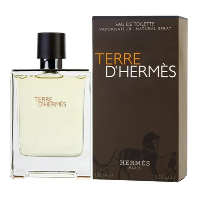 Hermes Terre D'Hermes EDT Erkek Parfüm 100 ml