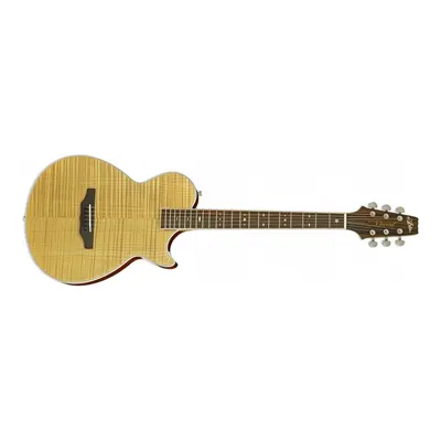 Aria APE100 Naturel Elektro Akustik Gitar