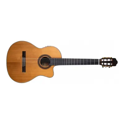 Barcelona Reguis CEQ Elektro Klasik Gitar