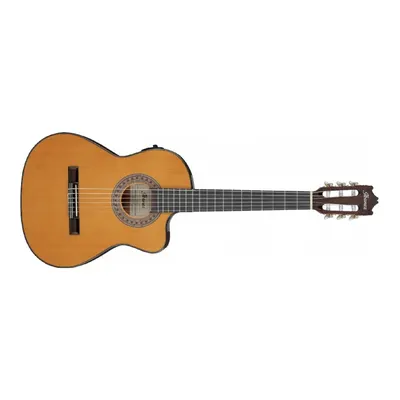 Ibanez GA5TCE3Q GA Series AM - Amber High Gloss 3/4 Elektro Klasik Gitar